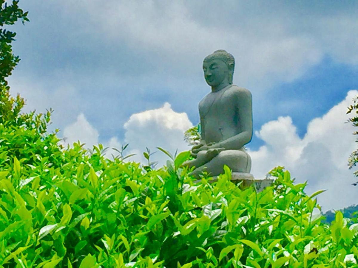 Bogala Village Eco Resort Kegalle Luaran gambar